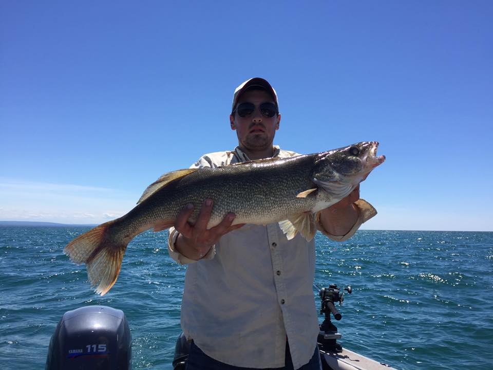 Walleye  Lake Erie Fishing Charter from Buffalo & Dunkirk NY